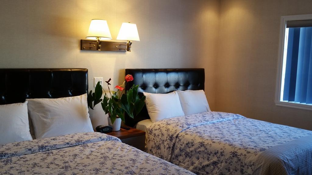 Au Doc Motel Repentigny Rom bilde